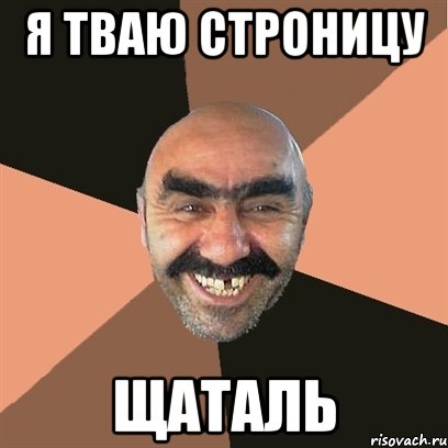 я тваю стрОницу ЩАТАЛЬ, Мем Я твой дом труба шатал