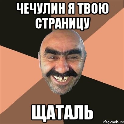 Чечулин Я твою страницу ЩаТаЛь, Мем Я твой дом труба шатал