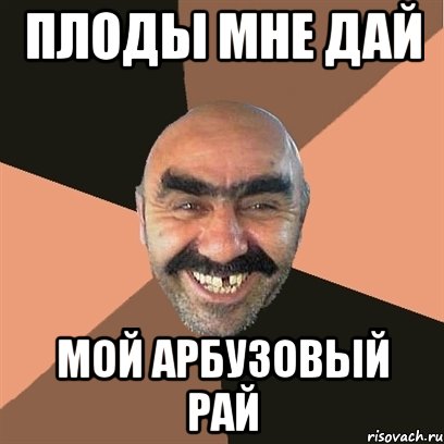 Плоды мне дай мой арбузовый рай, Мем Я твой дом труба шатал