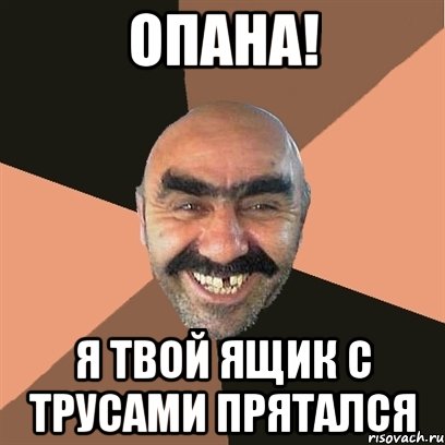 опана! я твой ящик с трусами прятался, Мем Я твой дом труба шатал