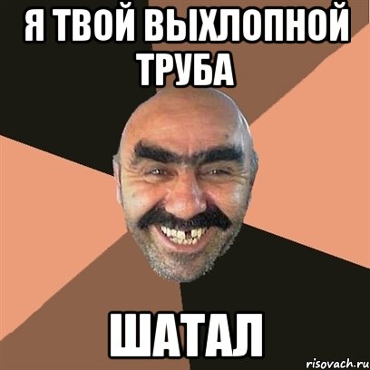 Я твой выхлопной труба Шатал, Мем Я твой дом труба шатал