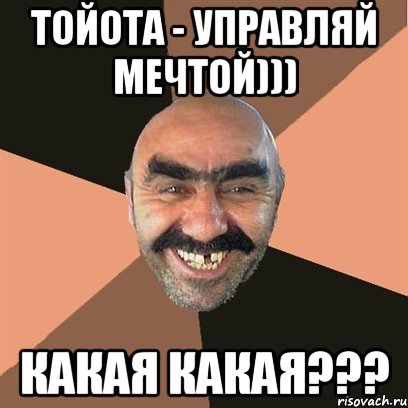 Тойота - управляй мечтой))) Какая какая???, Мем Я твой дом труба шатал