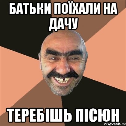 Батьки поїхали на дачу Теребішь пісюн, Мем Я твой дом труба шатал