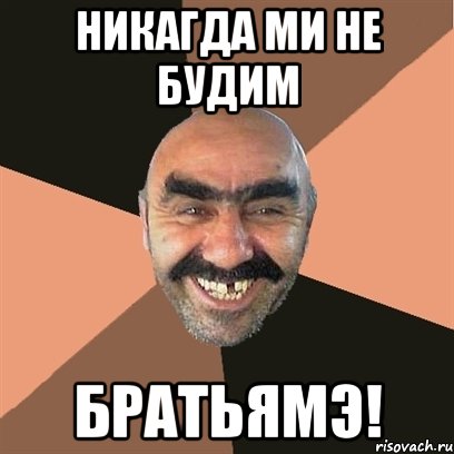 НИКАГДА МИ НЕ БУДИМ БРАТЬЯМЭ!, Мем Я твой дом труба шатал
