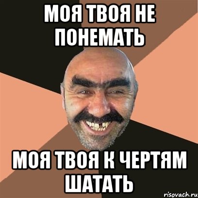 МОЯ ТВОЯ НЕ ПОНЕМАТЬ МОЯ ТВОЯ К ЧЕРТЯМ ШАТАТЬ, Мем Я твой дом труба шатал
