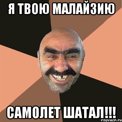 Я твою Малайзию Самолет шатал!!!, Мем Я твой дом труба шатал