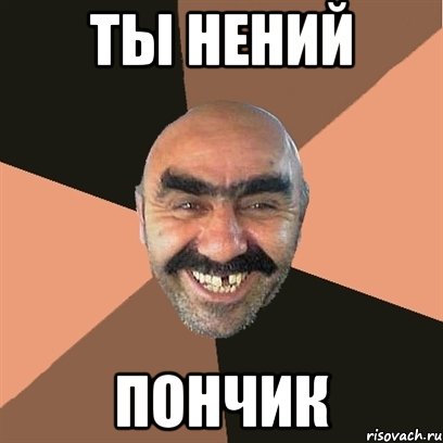 Ты нений Пончик, Мем Я твой дом труба шатал