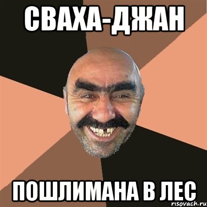 Сваха-джан Пошлимана в лес, Мем Я твой дом труба шатал