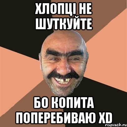 Хлопці не шуткуйте Бо копита поперебиваю XD, Мем Я твой дом труба шатал