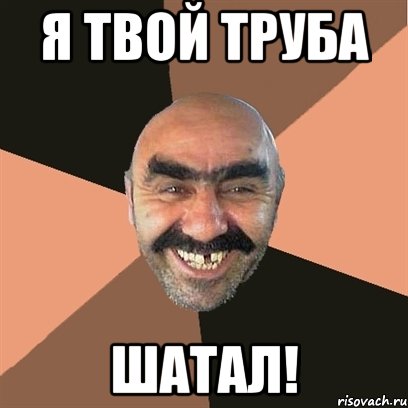 Я твой труба ШАТАЛ!, Мем Я твой дом труба шатал