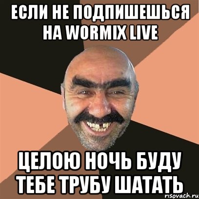 если не подпишешься на WORMIX LIVE целою ночь буду тебе трубу шатать, Мем Я твой дом труба шатал