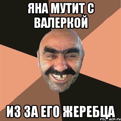 яна мутит с валеркой из за его жеребца, Мем Я твой дом труба шатал