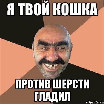 Я твой кошка против шерсти гладил, Мем Я твой дом труба шатал