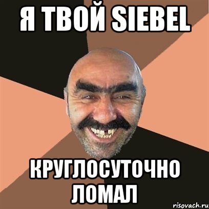 Я твой Siebel Круглосуточно ломал, Мем Я твой дом труба шатал