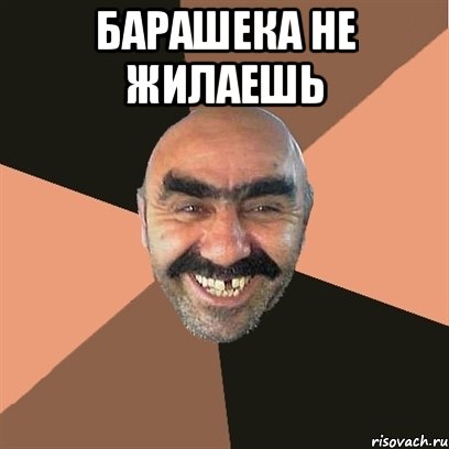 барашека не жилаешь , Мем Я твой дом труба шатал