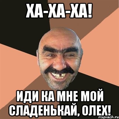 Ха-ха-ха! Иди ка мне мой сладенькай, Олех!, Мем Я твой дом труба шатал