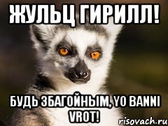 Жульц Гирилл! Будь збагойным, YO BANNI VROT!, Мем Я збагоен