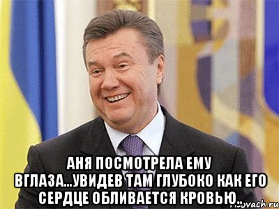  Аня посмотрела ему вглаза...увидев там глубоко как его сердце обливается кровью.., Мем Янукович