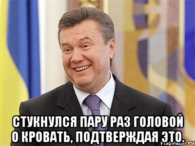  стукнулся пару раз головой о кровать, подтверждая это., Мем Янукович