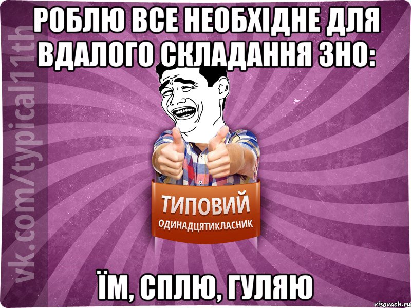 роблю все необхідне для вдалого складання зно: їм, сплю, гуляю