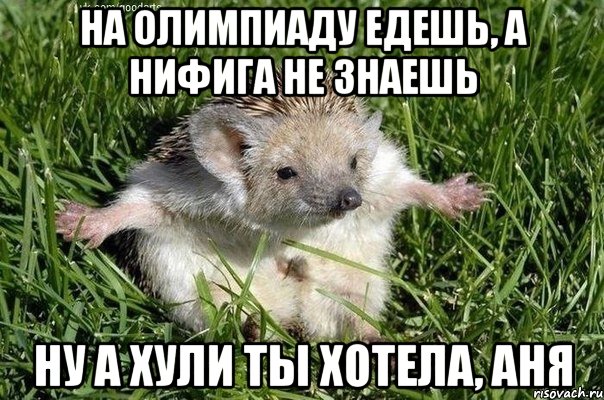 НА ОЛИМПИАДУ ЕДЕШЬ, А НИФИГА НЕ ЗНАЕШЬ НУ А ХУЛИ ТЫ ХОТЕЛА, АНЯ