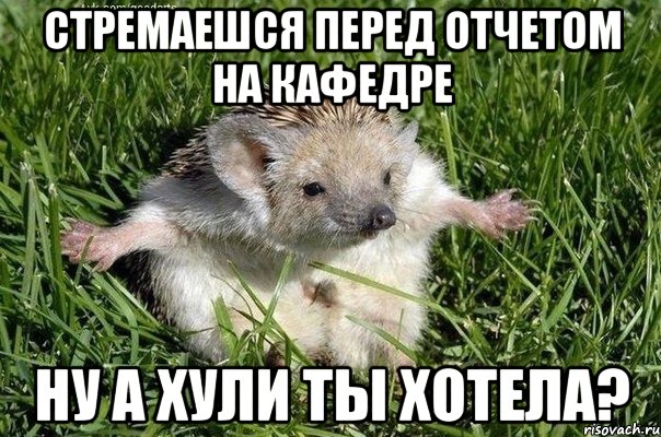 Стремаешся перед отчетом на кафедре Ну а хули ты хотела?