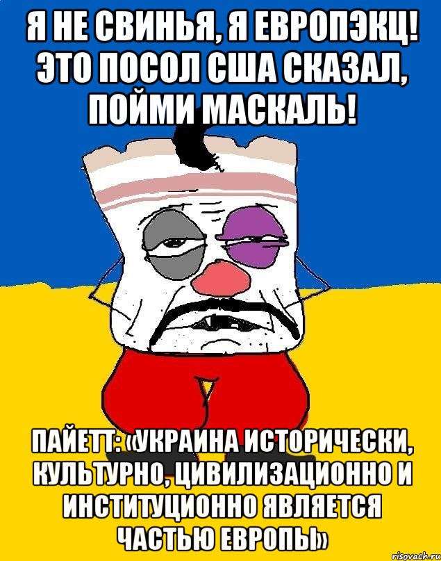 Я не свинья, я европэкц! Это посол США сказал, пойми маскаль! Пайетт: «Украина исторически, культурно, цивилизационно и институционно является частью Европы», Мем Западенец - тухлое сало