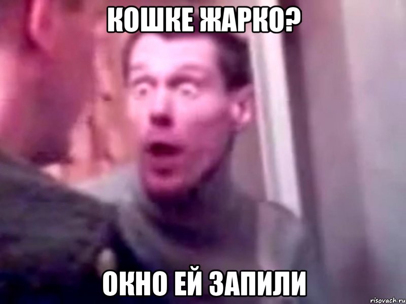 Кошке жарко? окно ей запили, Мем Запили