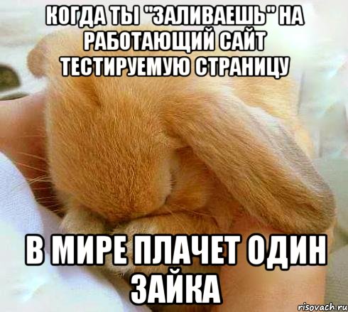 Когда ты "заливаешь" на работающий сайт тестируемую страницу В мире плачет один зайка