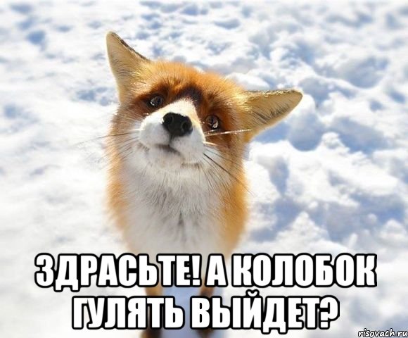  Здрасьте! А колобок гулять выйдет?