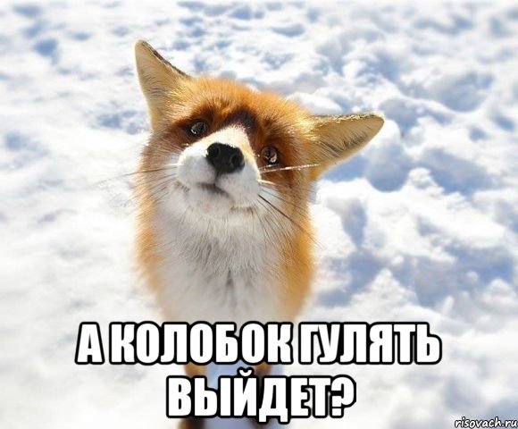  А колобок гулять выйдет?