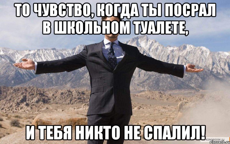 То чувство, когда ты посрал в школьном туалете, И ТЕБЯ НИКТО НЕ СПАЛИЛ!, Мем железный человек