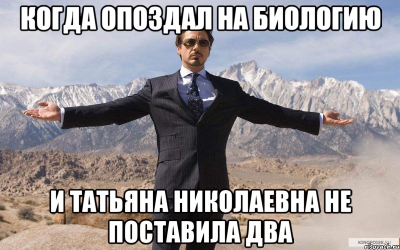 Когда опоздал на биологию И Татьяна Николаевна не поставила два, Мем железный человек