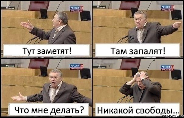 Тут заметят! Там запалят! Что мне делать? Никакой свободы..., Комикс Жирик в шоке хватается за голову