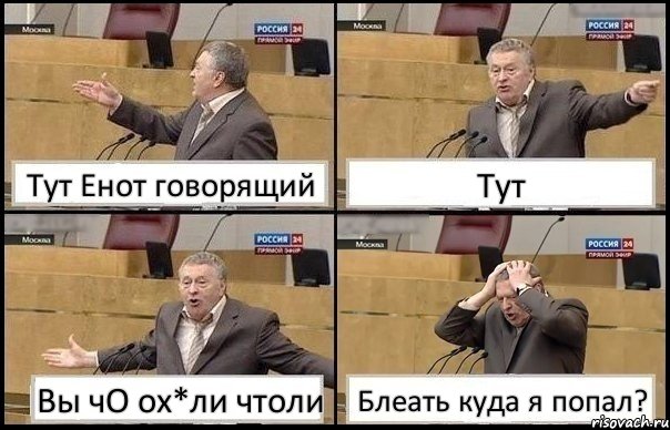 Тут Енот говорящий Тут Вы чО ох*ли чтоли Блеать куда я попал?, Комикс Жирик в шоке хватается за голову