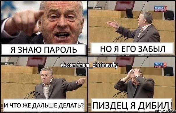 я знаю пароль но я его забыл и что же дальше делать? пиздец я дибил!, Комикс Жирик