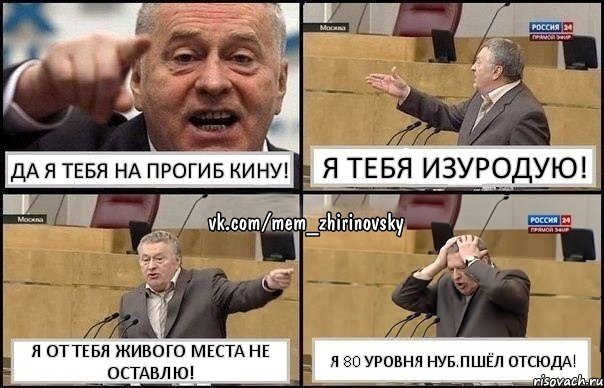 Да я тебя на прогиб кину! Я тебя изуродую! Я от тебя живого места не оставлю! Я 80 уровня нуб.Пшёл отсюда!, Комикс Жирик