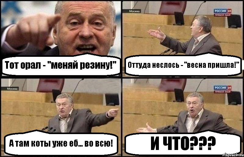 Тот орал - "меняй резину!" Оттуда неслось - "весна пришла!" А там коты уже еб... во всю! И ЧТО???, Комикс Жириновский