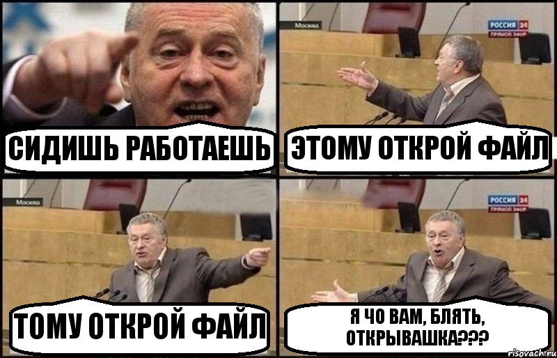 СИДИШЬ РАБОТАЕШЬ ЭТОМУ ОТКРОЙ ФАЙЛ ТОМУ ОТКРОЙ ФАЙЛ Я ЧО ВАМ, БЛЯТЬ, ОТКРЫВАШКА???, Комикс Жириновский