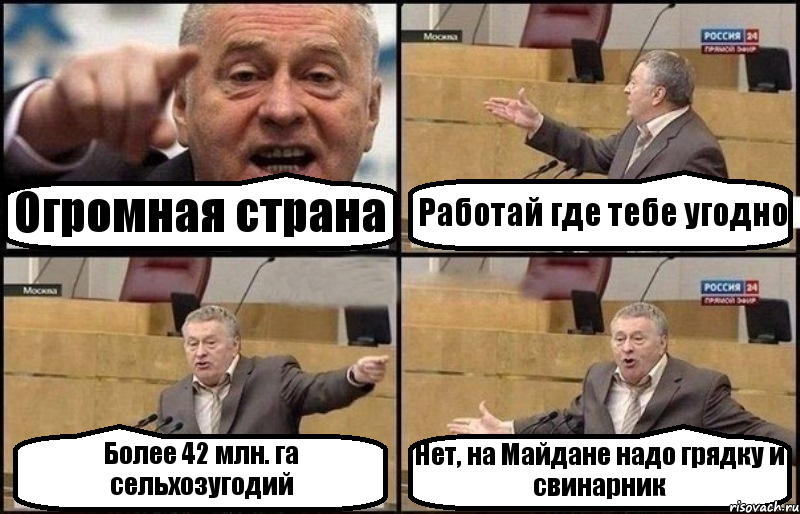 Огромная страна Работай где тебе угодно Более 42 млн. га сельхозугодий Нет, на Майдане надо грядку и свинарник, Комикс Жириновский