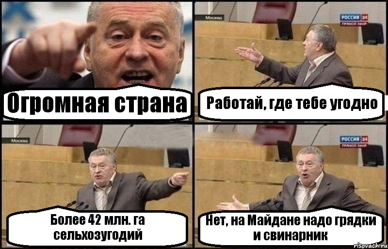 Огромная страна Работай, где тебе угодно Более 42 млн. га сельхозугодий Нет, на Майдане надо грядки и свинарник, Комикс Жириновский