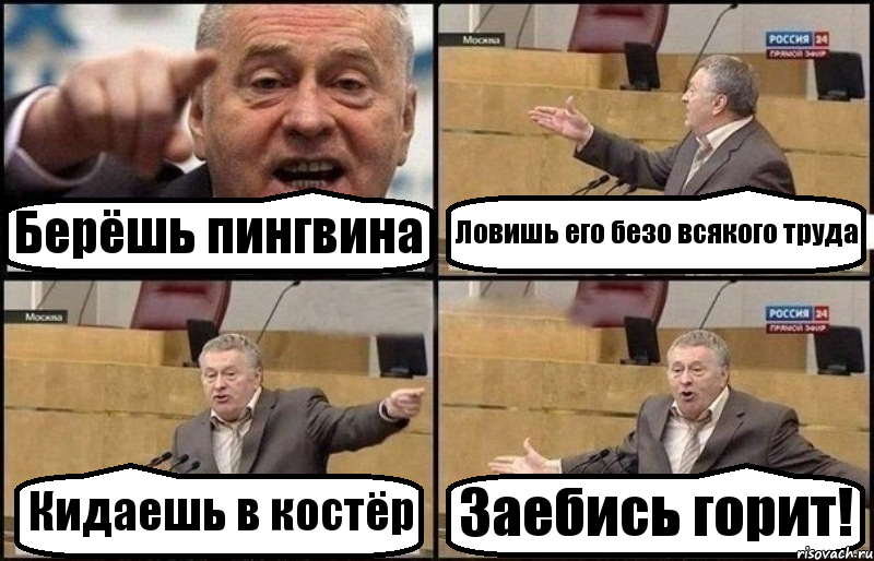 Берёшь пингвина Ловишь его безо всякого труда Кидаешь в костёр Заебись горит!, Комикс Жириновский