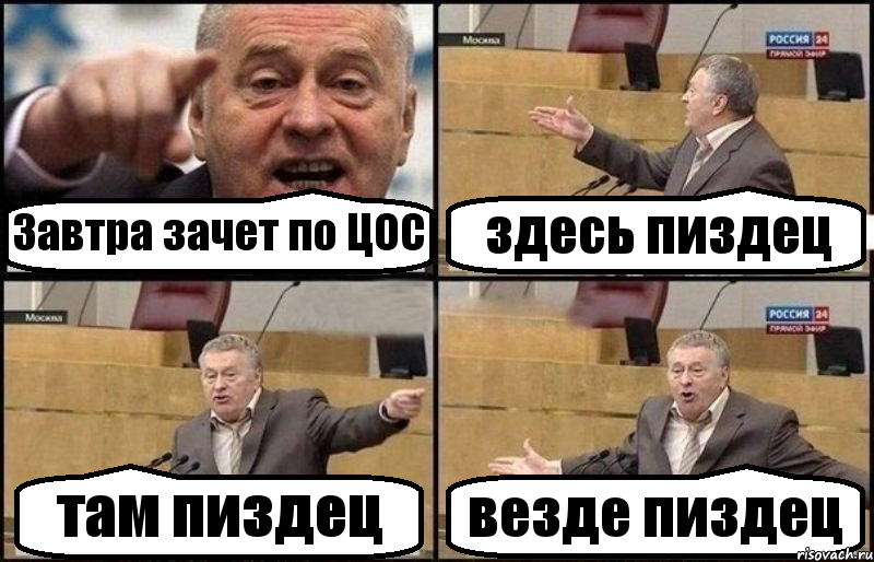 Завтра зачет по ЦОС здесь пиздец там пиздец везде пиздец, Комикс Жириновский