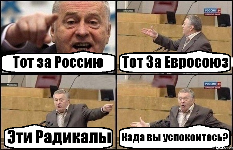 Тот за Россию Тот За Евросоюз Эти Радикалы Када вы успокоитесь?, Комикс Жириновский