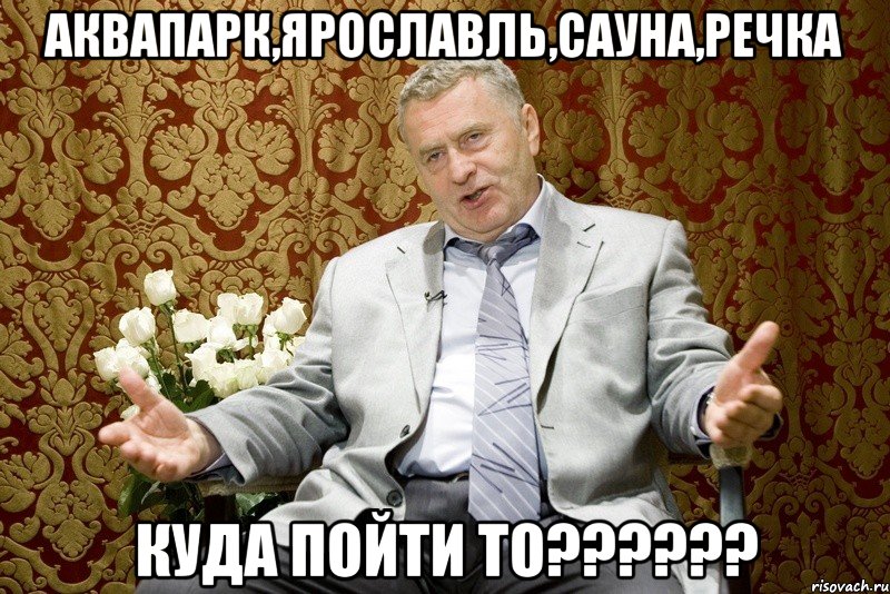 аквапарк,ярославль,сауна,речка куда пойти то??????