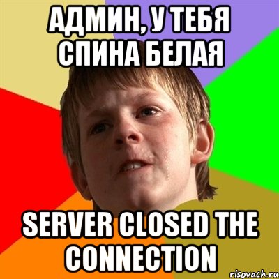 Админ, у тебя спина белая server closed the connection, Мем Злой школьник