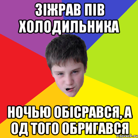 зіжрав пів холодильника ночью обісрався, а од того обригався