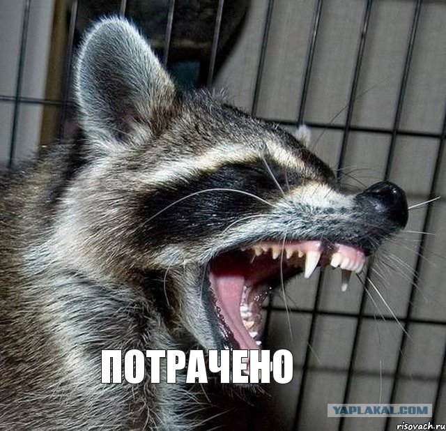 ПОТРАЧЕНО, Комикс 1