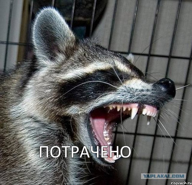 ПОТРАЧЕНО, Комикс 1