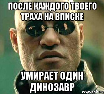 после каждого твоего траха на вписке умирает один динозавр, Мем  а что если я скажу тебе